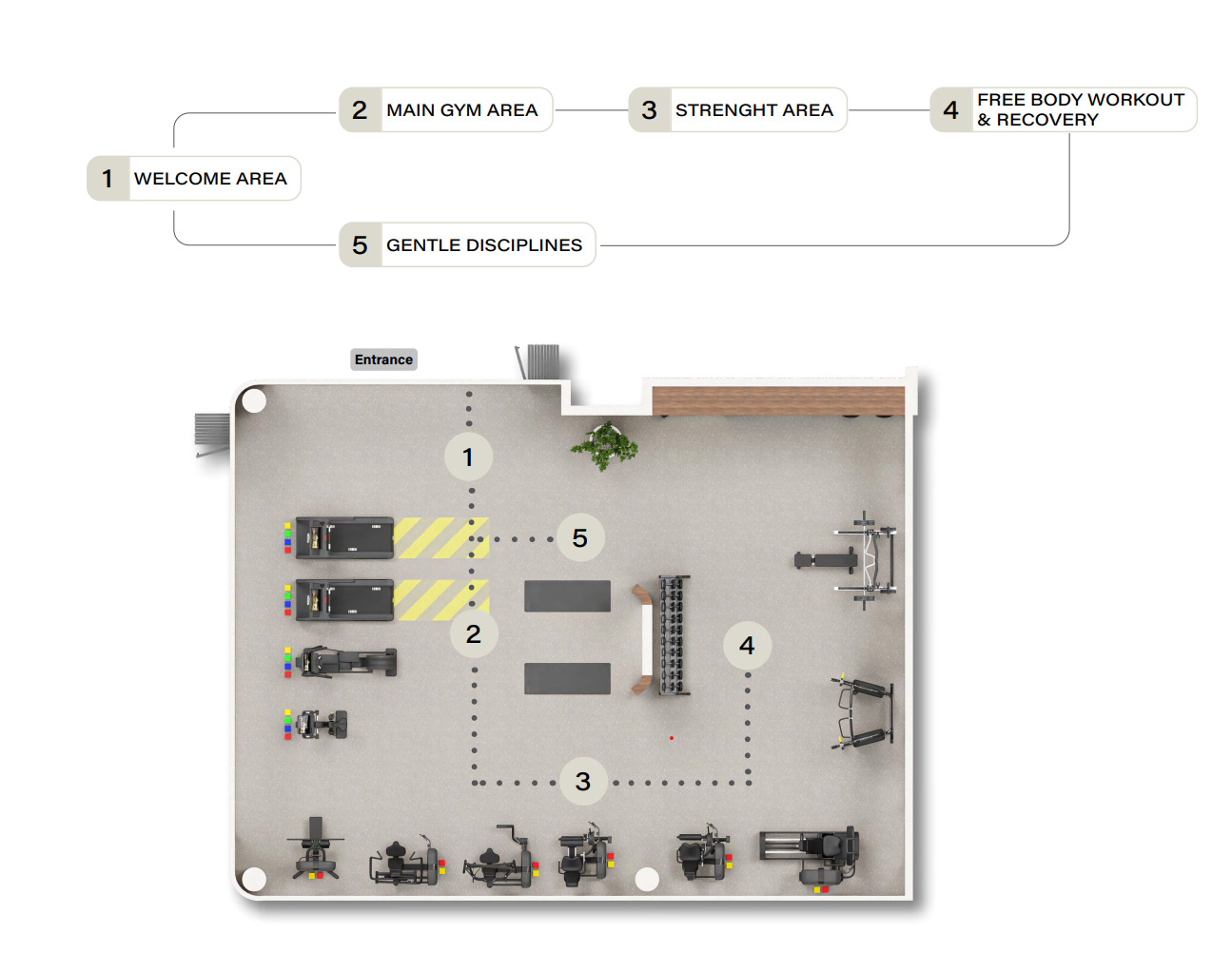 Gym zoning plan, Pool and Gym project — interior design project