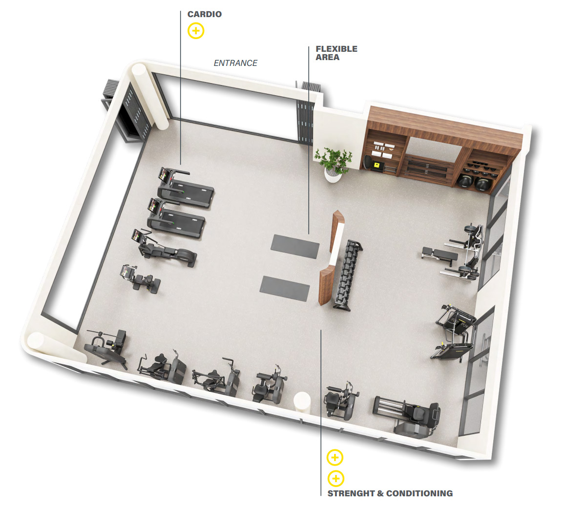 Gym layout with cardio and strength areas, Pool and Gym project — interior design project
